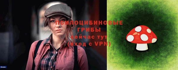 метадон Белокуриха