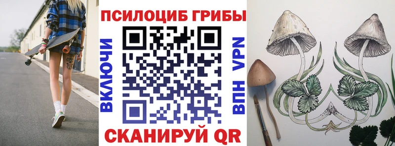 Галлюциногенные грибы ЛСД МЕГА маркетплейс даркнет телеграм Киренск